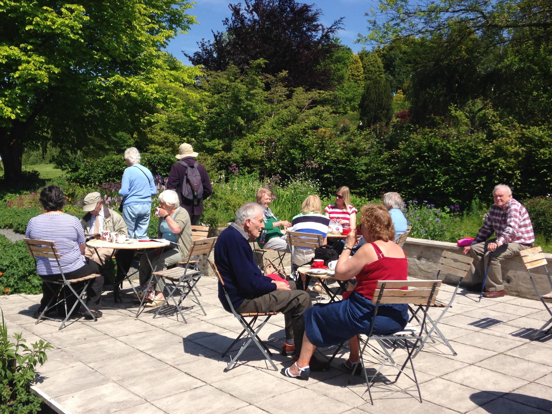Tea Room at Cae Hir Gardens, West Wales