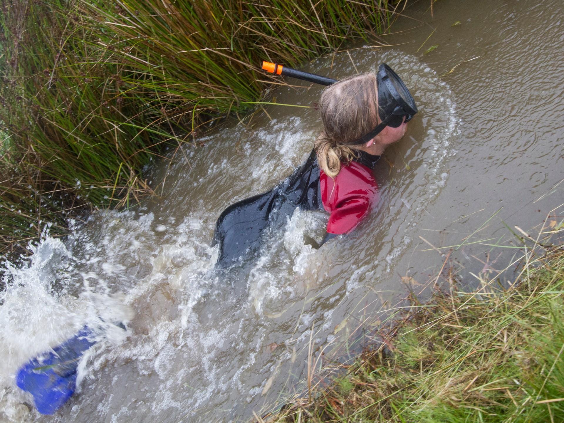 World Bogsnorkelling Championships